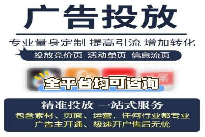某行业巨头背后的SEM代运营服务公司